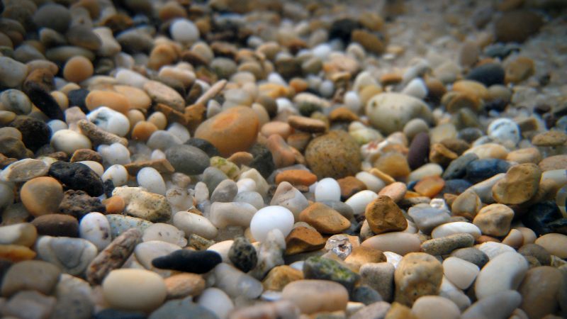 Guide to Choose Aquarium Pebbles